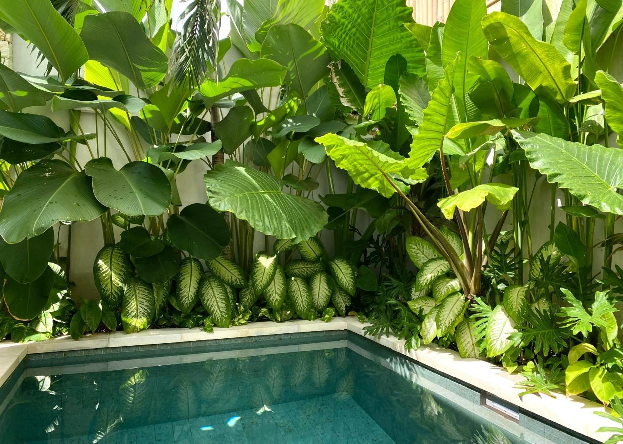 Alma Bingin Boutique Hotel Uluwatu Eksteriør billede